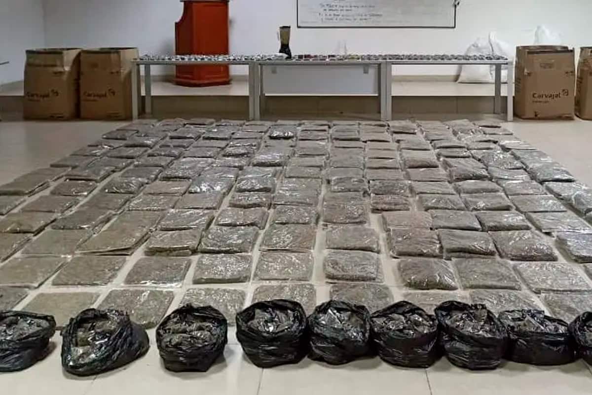 500 kilos de marihuana incautada en el barrio Chiminangos de Cartago