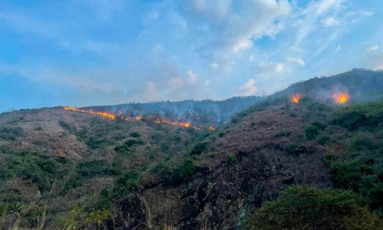 Incendio forestal en Roldanillo
